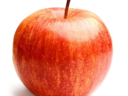 ORGANIC APPLES, HONEYCRISP   LBS   227 Discount