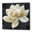 Majestic Magnolia Neutral Sq  by Albena Hristova, Canvas Wall Art Online