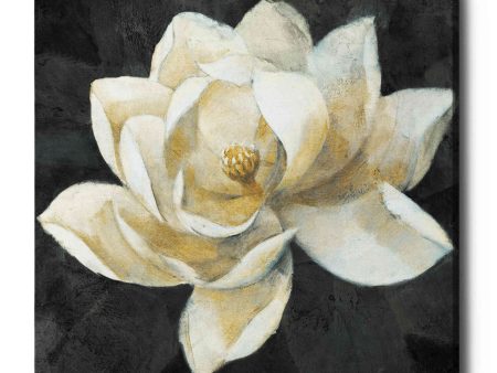 Majestic Magnolia Neutral Sq  by Albena Hristova, Canvas Wall Art Online