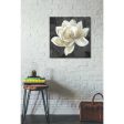 Majestic Magnolia Neutral Sq  by Albena Hristova, Canvas Wall Art Online