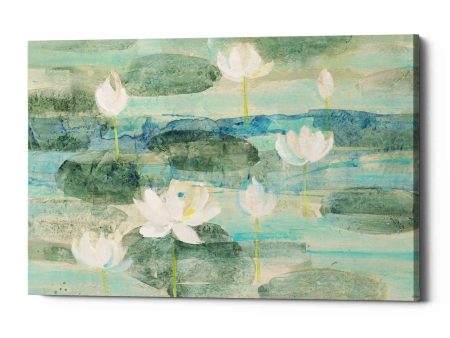 Water Lilies Bright  by Albena Hristova, Canvas Wall Art Supply