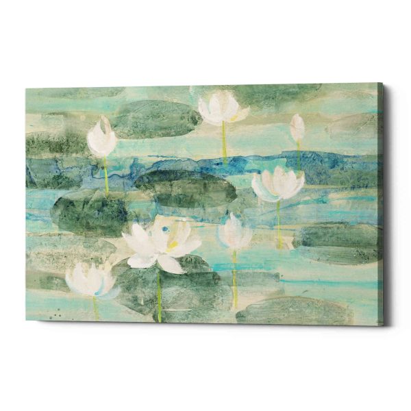 Water Lilies Bright  by Albena Hristova, Canvas Wall Art Supply