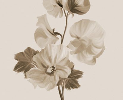 FEN760 - Sepia Botanical II     - 12x16 Sale