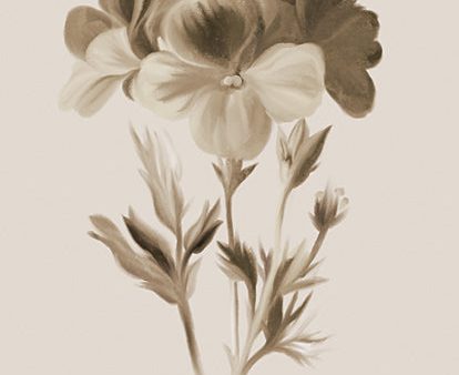 FEN759 - Sepia Botanical I     - 12x16 For Cheap